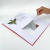 Leonardo da Vinci ¡Mira que artista! - buy online