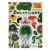 Botanicum - Visita nuestro museo - Immediate stock!