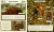 Construcciones animales on internet