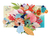 Shells A pop up book of Wonderland ¡Preventa! en internet