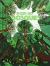 Pop-Up Bosques - Immediate stock!