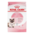 Mother & Baby Cat (Mamá y gatitos) - tienda en línea