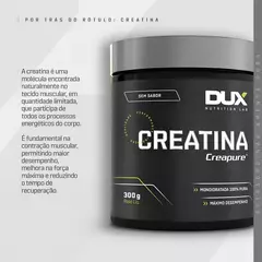 Imagem do Creatina (100% Creapure) - Pote 100g Dux Nutrition Sem sabor Tamanho Natural