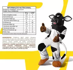 Best Whey Protein Achocolatado Toddy 900g - comprar online