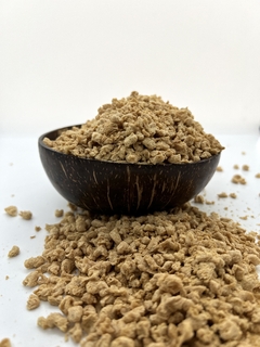 PROTEINA DE SOJA TADICIONAL - 100G