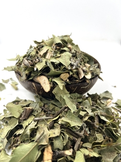 ESPINHEIRA SANTA - 100G