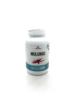 MULUNGU - 500MG - 60 CÁPS