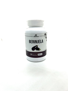 BERINJELA - 60CAPS - 500MG