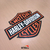 Cuadro Harley Davidson en internet