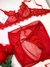 Conjunto Fire Saia Liga - Vanilla Lingerie