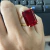 Anel Roma Rubi - loja online