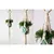 Colgadores de plantas Rame, soporte para macetas - Cuerda de algodón - LiceriaShop