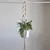 Colgadores de plantas Rame, soporte para macetas - Cuerda de algodón - comprar online