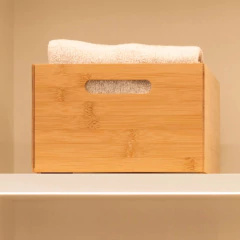 Caixa Organizadora 11L Keep 24 x 32 x 15cm OU - comprar online