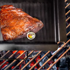 Termômetro Espeto Culinário Carne Alimentos Cozinha Prana - comprar online