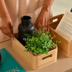 Imagem do Caixa Domo 8L 22 x 33 x 12cm Paulownia OU