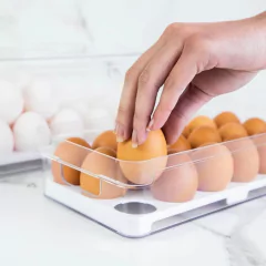 Organizador De Ovos C/ Tampa Clear Fresh 18 Unidades Natural - comprar online