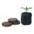 Turba Prensada Germinación & Esquejes "Jiffy"