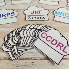 Imagen de Adivina la palabra!