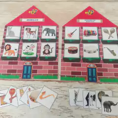 Casas de categorías semánticas! en internet