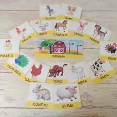 Categorías de animales! - comprar online