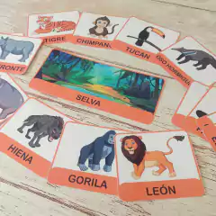 Categorías de animales! - didacticlandia