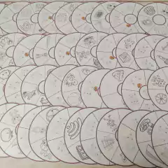 Ruedas de sílabas para colorear - tienda online