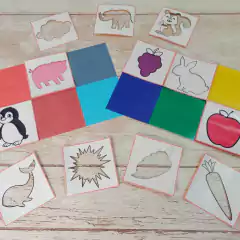 Descubre los colores