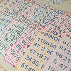Bingo de + y - en internet