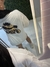Tee Oversized Fitness Taz Leg Day - comprar online