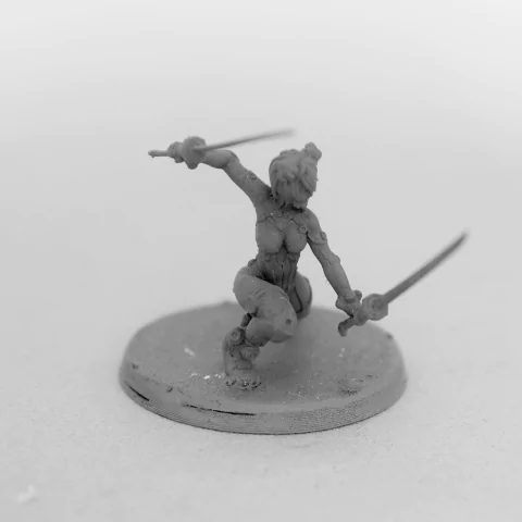 Kakasha Cyber Edge Hunter