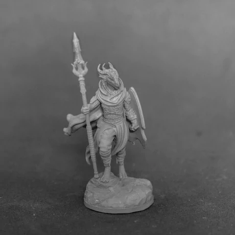 Guerreira Lanceira Draconata