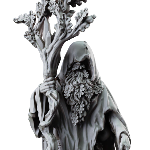 Druida Hierofante Guardião