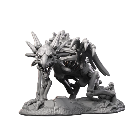 Urso Coruja Esqueleto