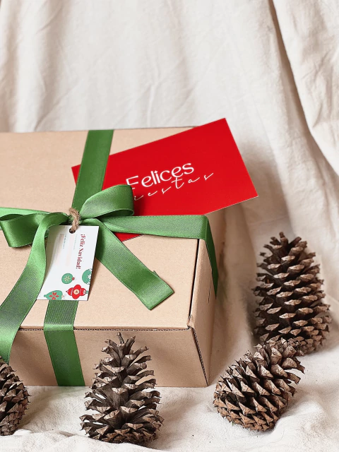Packaging de regalo Navidad ¨Festivo¨