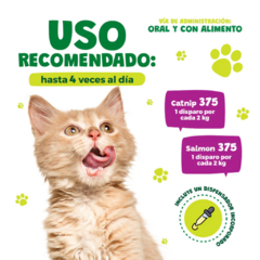 Waggys Aceite para Gatos | Aceite Relajante para Gatos - Lio's Cat - Tienda Exclusiva para Gatos en México
