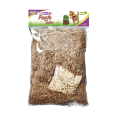 Fancy Pets Repuesto | Pasto para Gato | Lio’s Cat