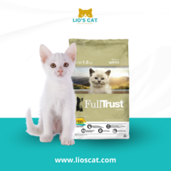 Gatito comiendo alimento Full Trust, desarrollado para apoyar su crecimiento y salud.