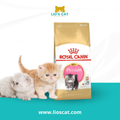 Gatito persa Royal Canin Persian Kitten, promoviendo un pelaje brillante y saludable
