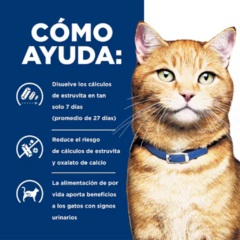 Hill's c/d Urinary Care Lata 156gr | Salud Urinaria para Gatos Adultos | Lio's Cat - comprar en línea