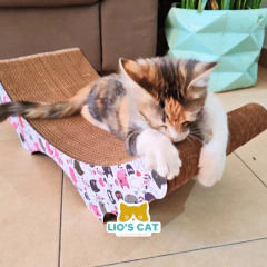 Mueble Rascador para Gato | Raskt Hamaca Resistente
