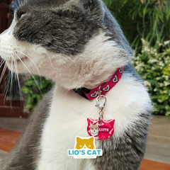 Placa para gatos | DDF Personalizada en internet