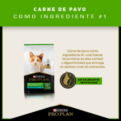 Pro Plan Gatos Adultos Sensitive Skin & Stomach | Alimento Súper Premium para Gatos Adultos | Lio’s Cat - comprar en línea