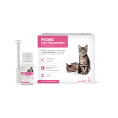 ¡Presentamos Petonic Cats Recuperation! La fórmula nutracéutica diseñada especialmente para la recuperación de tu gato. Este suplemento líquido, con sabor a pescado, no solo estimula el apetito, sino que también optimiza el tiempo de recuperación de tu fe