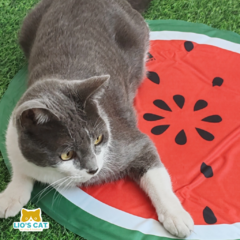 Tapete 60cm Refrescante Mediano Sandía para mascotas - comprar en línea
