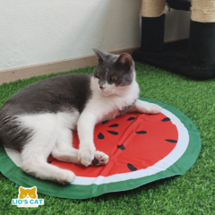 Tapete 50cm Refrescante Chico Sandía para mascotas