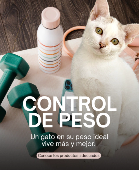 Carrusel Lio's Cat - Tienda Exclusiva para Gatos en México