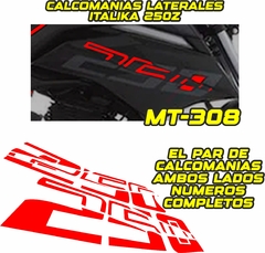 Imagen de CALCOMANIAS LATERALES 250 Z 2022 250z