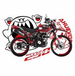 DM 250 X FANTASMAS