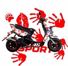 WS 175 WS 150 VENTO RUDA